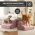 Rohrschneider Hundetreppe mit 2 Stufen
