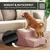 Rohrschneider Hundetreppe mit 2 Stufen