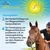Equitop Pronutrin Magenschutz Pellets Equitop Pronutrin Magenschutz Pellets