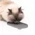 LucyBalu Schleckmatte ZENPAD LucyBalu Schleckmatte ZENPAD