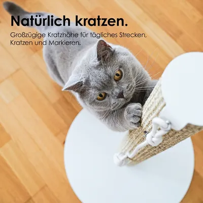 LucyBalu Kratzstamm SCRATCHPOLE LucyBalu Kratzstamm SCRATCHPOLE
