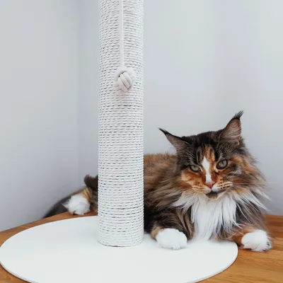 LucyBalu Kratzsäule PAPERPOLE LucyBalu Kratzsäule PAPERPOLE