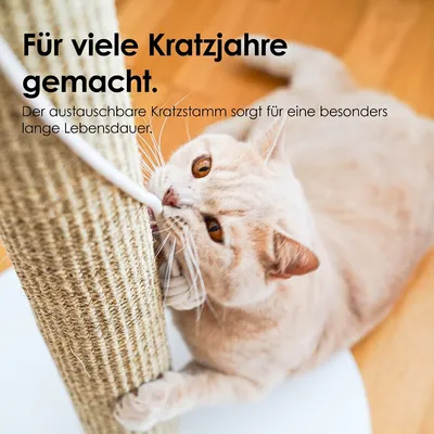 LucyBalu Kratzstamm SCRATCHPOLE LucyBalu Kratzstamm SCRATCHPOLE
