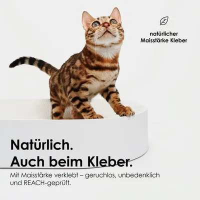 LucyBalu Kartonbett SCRATCHBED LucyBalu Kartonbett SCRATCHBED