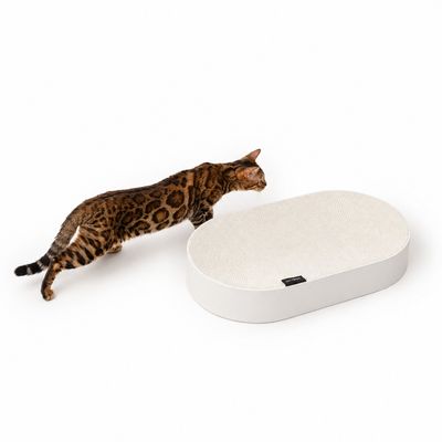 LucyBalu Kartonbett SCRATCHBED