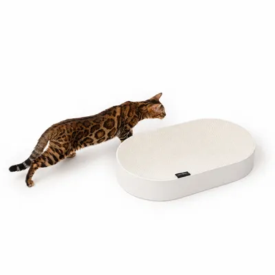 LucyBalu Kartonbett SCRATCHBED LucyBalu Kartonbett SCRATCHBED