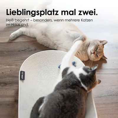 LucyBalu Kartonbett SCRATCHBED LucyBalu Kartonbett SCRATCHBED