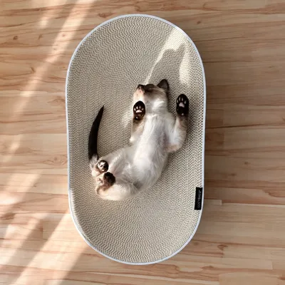 LucyBalu Kartonbett SCRATCHBED LucyBalu Kartonbett SCRATCHBED