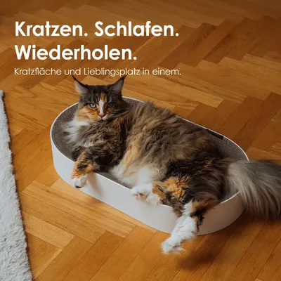 LucyBalu Kartonbett SCRATCHBED LucyBalu Kartonbett SCRATCHBED