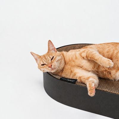 LucyBalu Kartonbett SCRATCHBED