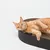 LucyBalu Kartonbett SCRATCHBED LucyBalu Kartonbett SCRATCHBED