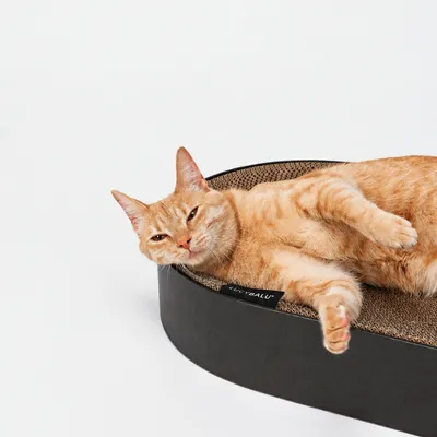 LucyBalu Kartonbett SCRATCHBED LucyBalu Kartonbett SCRATCHBED