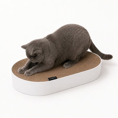 LucyBalu Kartonbett SCRATCHBED