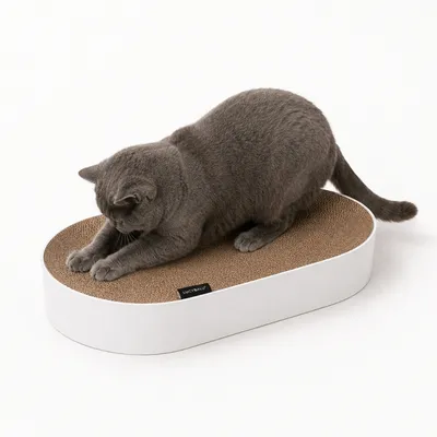 LucyBalu Kartonbett SCRATCHBED