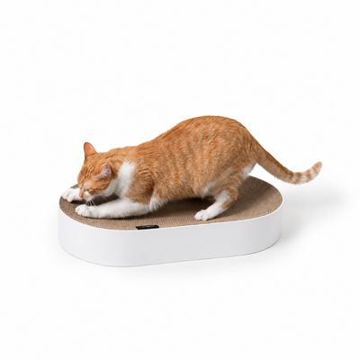 LucyBalu Kartonbett SCRATCHBED