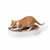 LucyBalu Kartonbett SCRATCHBED LucyBalu Kartonbett SCRATCHBED