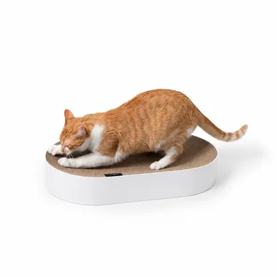 LucyBalu Kartonbett SCRATCHBED LucyBalu Kartonbett SCRATCHBED