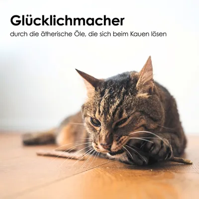 LucyBalu Zahnpflege-Sticks MATATABI LucyBalu Zahnpflege-Sticks MATATABI