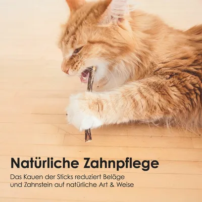 LucyBalu Zahnpflege-Sticks MATATABI LucyBalu Zahnpflege-Sticks MATATABI