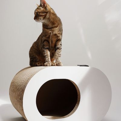 LucyBalu Katzenhöhle PAPERCAVE
