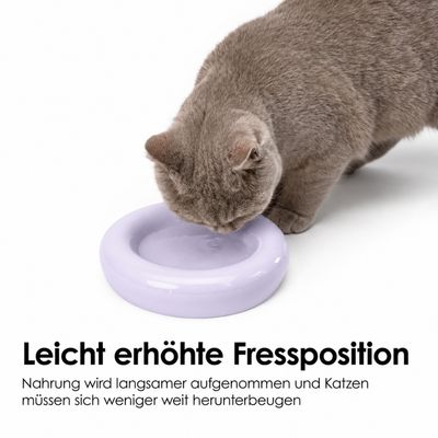 LucyBalu Katzennapf DROP