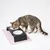 LucyBalu Katzennapf BOWL MELAMIN - 2er-Set LucyBalu Katzennapf BOWL MELAMIN - 2er-Set