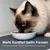 LucyBalu Katzennapf BOWL MELAMIN - 2er-Set LucyBalu Katzennapf BOWL MELAMIN - 2er-Set