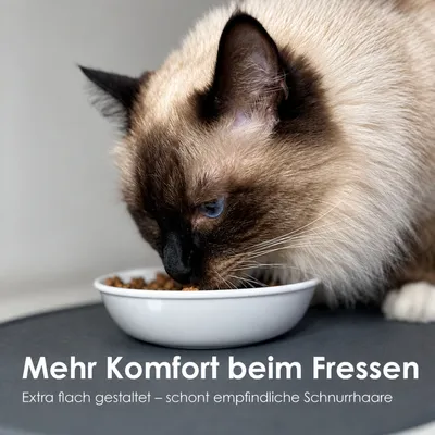 LucyBalu Katzennapf BOWL MELAMIN - 2er-Set LucyBalu Katzennapf BOWL MELAMIN - 2er-Set