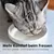 LucyBalu Katzennapf BOWL PORZELLAN - 2er-Set