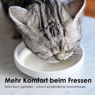 LucyBalu Katzennapf BOWL PORZELLAN - 2er-Set