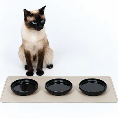 LucyBalu Katzennapf BOWL PORZELLAN - 2er-Set