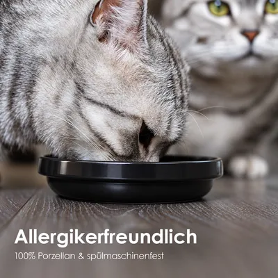 LucyBalu Katzennapf BOWL PORZELLAN - 2er-Set