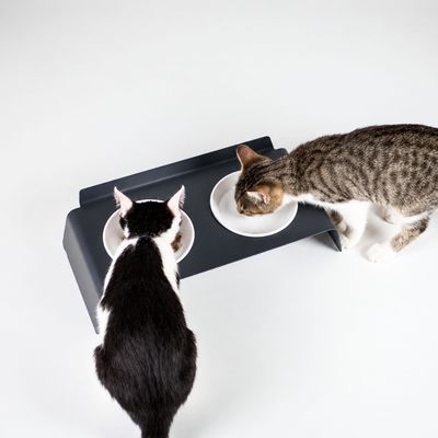 LucyBalu Futterstation DINE