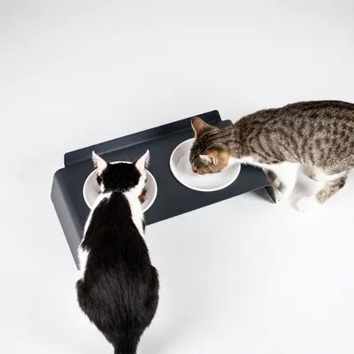LucyBalu Futterstation DINE LucyBalu Futterstation DINE