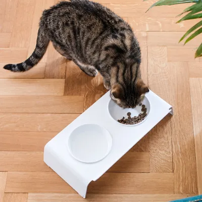 LucyBalu Futterstation DINE LucyBalu Futterstation DINE
