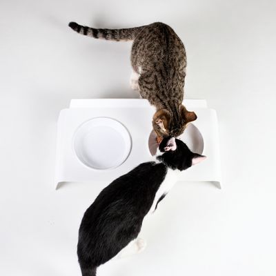 LucyBalu Futterstation DINE