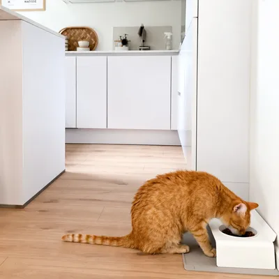 LucyBalu Futterstation DINE LucyBalu Futterstation DINE