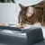 LucyBalu Futterstation DINE LucyBalu Futterstation DINE