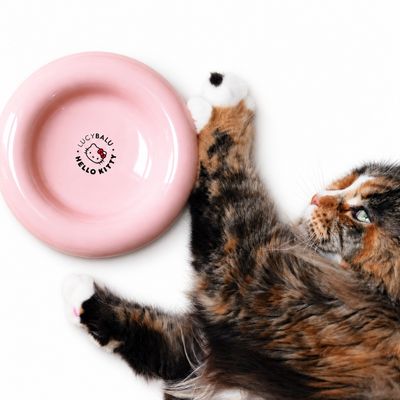 LucyBalu Katzennapf DROP HELLO KITTY