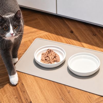 LucyBalu Katzennapf BOWL PORZELLAN
