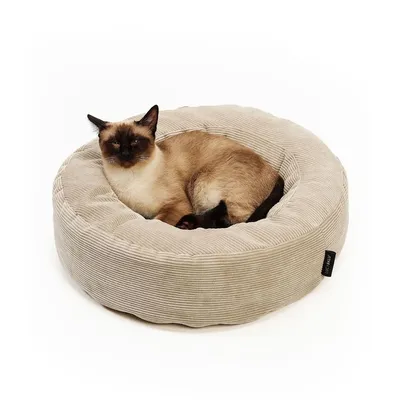 LucyBalu Katzenbett NEST