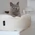 LucyBalu Katzenbett DINGHY LucyBalu Katzenbett DINGHY