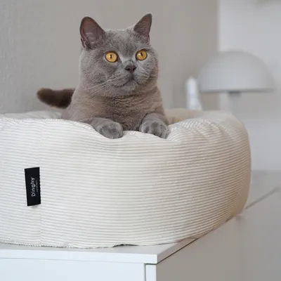 LucyBalu Katzenbett DINGHY LucyBalu Katzenbett DINGHY