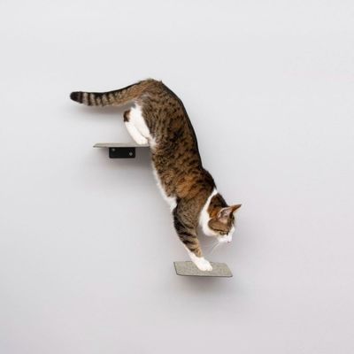 LucyBalu Katzentreppe STEPS XL