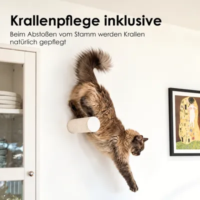 LucyBalu Kratzstamm JUMPER LITE