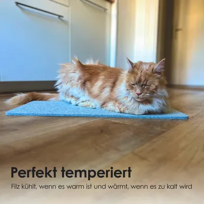 LucyBalu Fensterbrettauflage FELTY LucyBalu Fensterbrettauflage FELTY