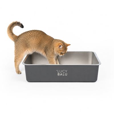 LucyBalu Katzentoilette STEELOO