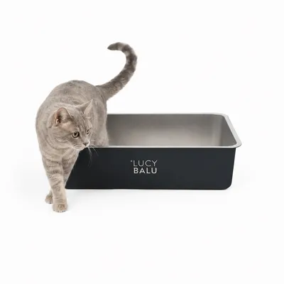 LucyBalu Katzentoilette STEELOO LucyBalu Katzentoilette STEELOO