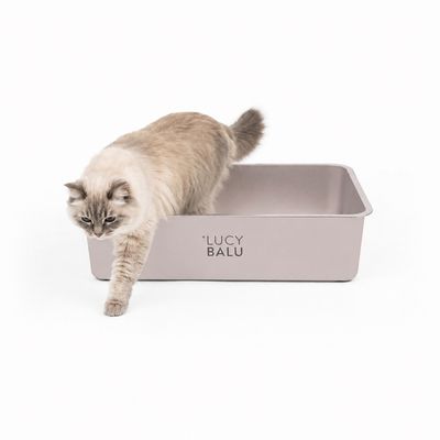 LucyBalu Katzentoilette STEELOO