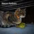 LucyBalu AirTag Katzenhalsband NEMO LucyBalu AirTag Katzenhalsband NEMO